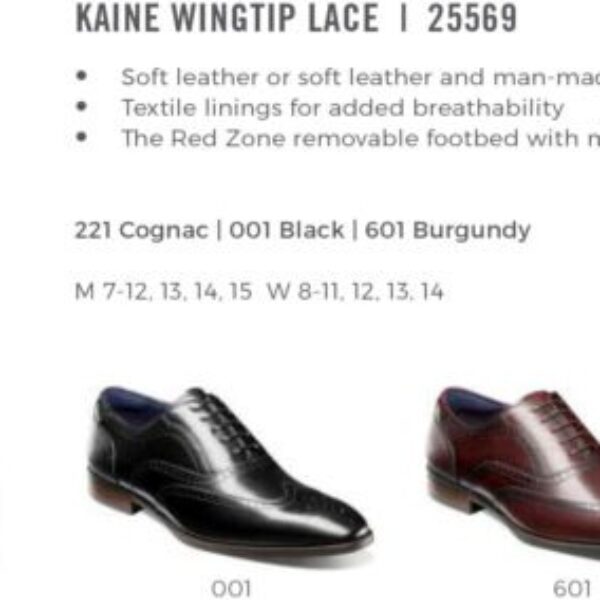 Kaine Wingtip Lace